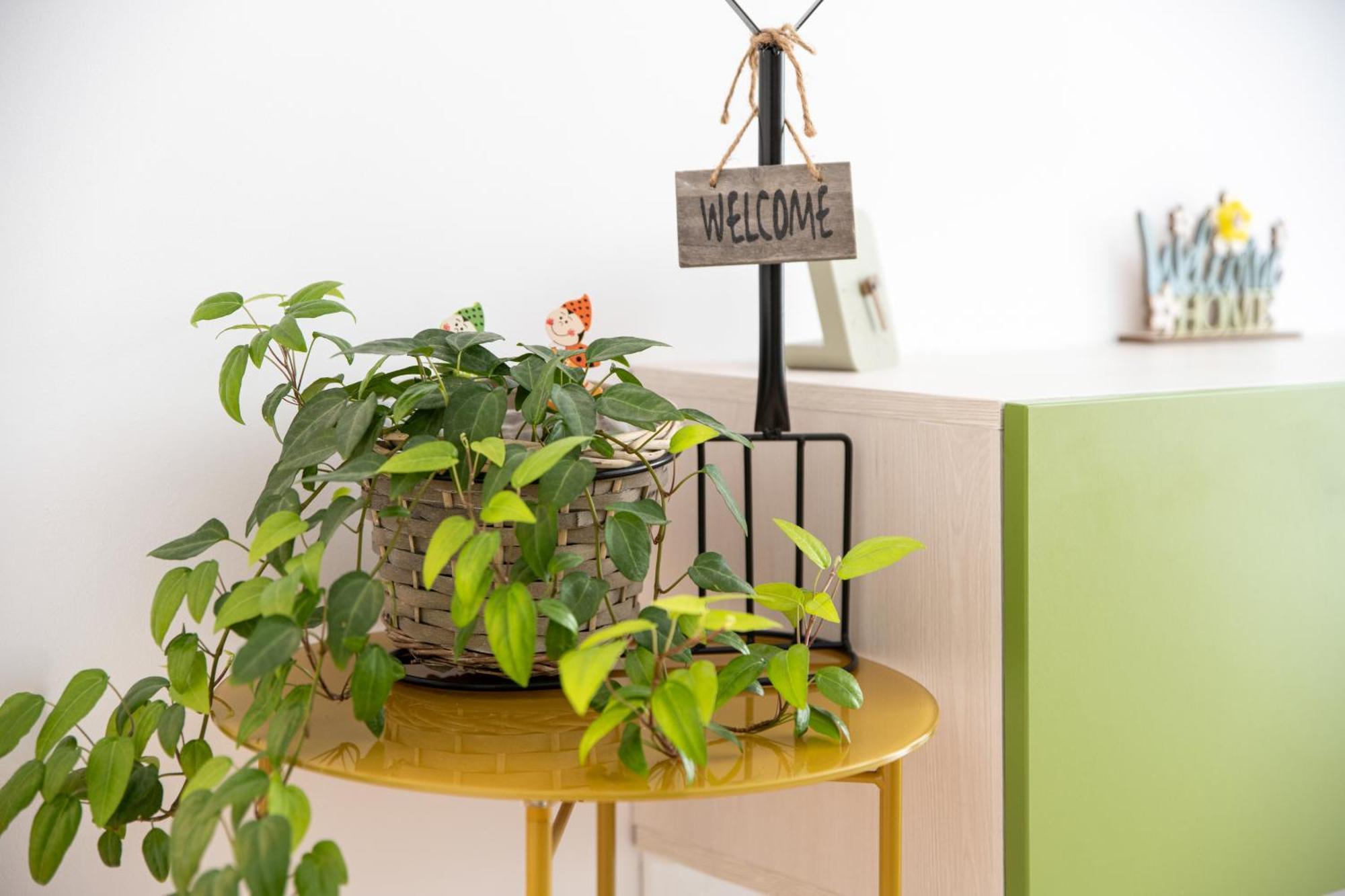 Springhome - Cozy Apartment With Balcony & Parking Braşov Exterior foto