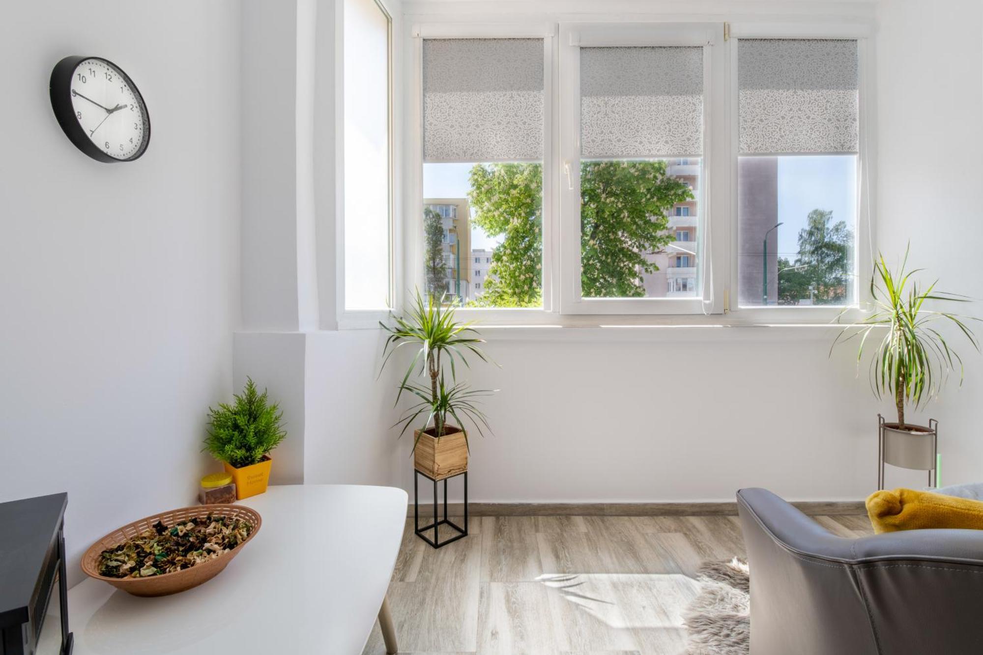 Springhome - Cozy Apartment With Balcony & Parking Braşov Exterior foto